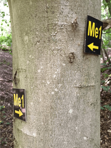 Bildschirmfoto 2017-07-31 um 17.21.15